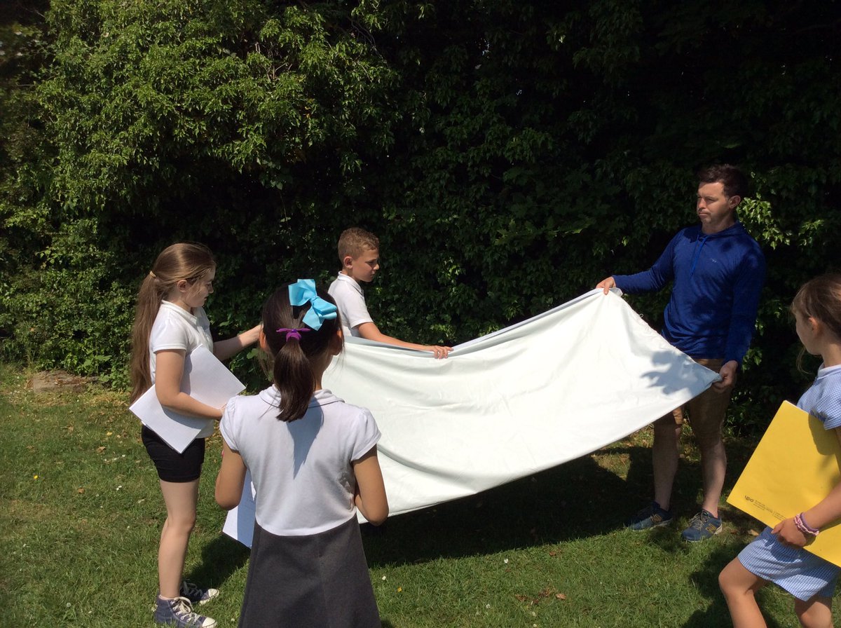 Y4Bradway's tweet photo. Habitat Hunt! We have been exploring our wonderful school site for microhabitats. It was amazing seeing what creatures and other organisms were in the trees and bushes thanks to a technique @EarthEngaged showed  us! @BradwayScience #primaryscience https://t.co/Hgx0gGpy7V