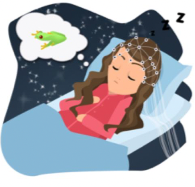 Are you a good sleeper who frequently remembers your dreams and in the Netherlands in June and July? Participate in our study on dreaming and memory consolidation and earn 250€ radboud.sona-systems.com/default.aspx?p… or contact us for more info dreamstudy@donders.ru.nl