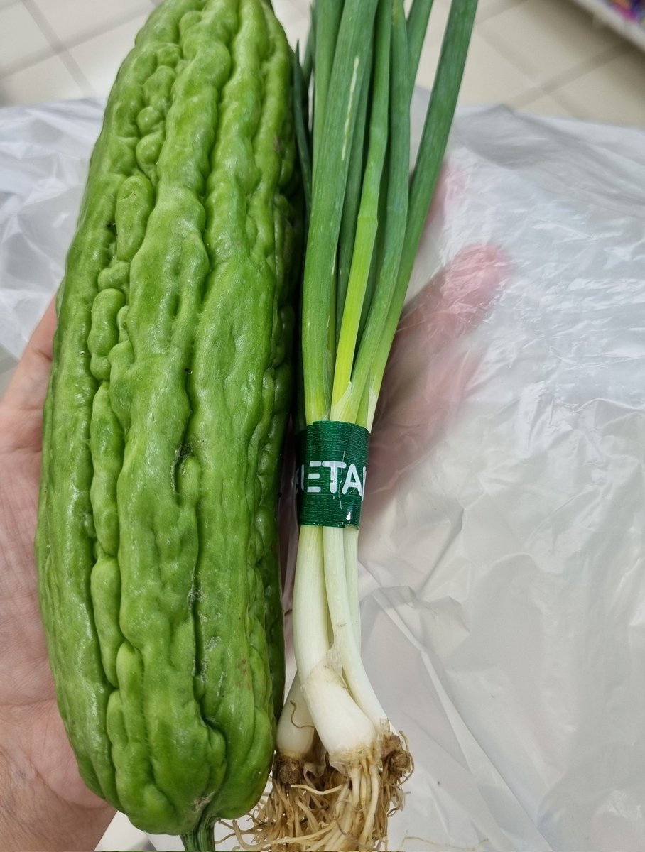 Kalo lagi tanggung bulan apa² brasa mahal. gegara ga pinter ngatur duit ge. Beli pare 1 sama daon bawang gini 10rb, kok gitu aja brasa mehong wkwk pare secimit. Emangtuh ga ada yg murce sih jaman skrg🤧