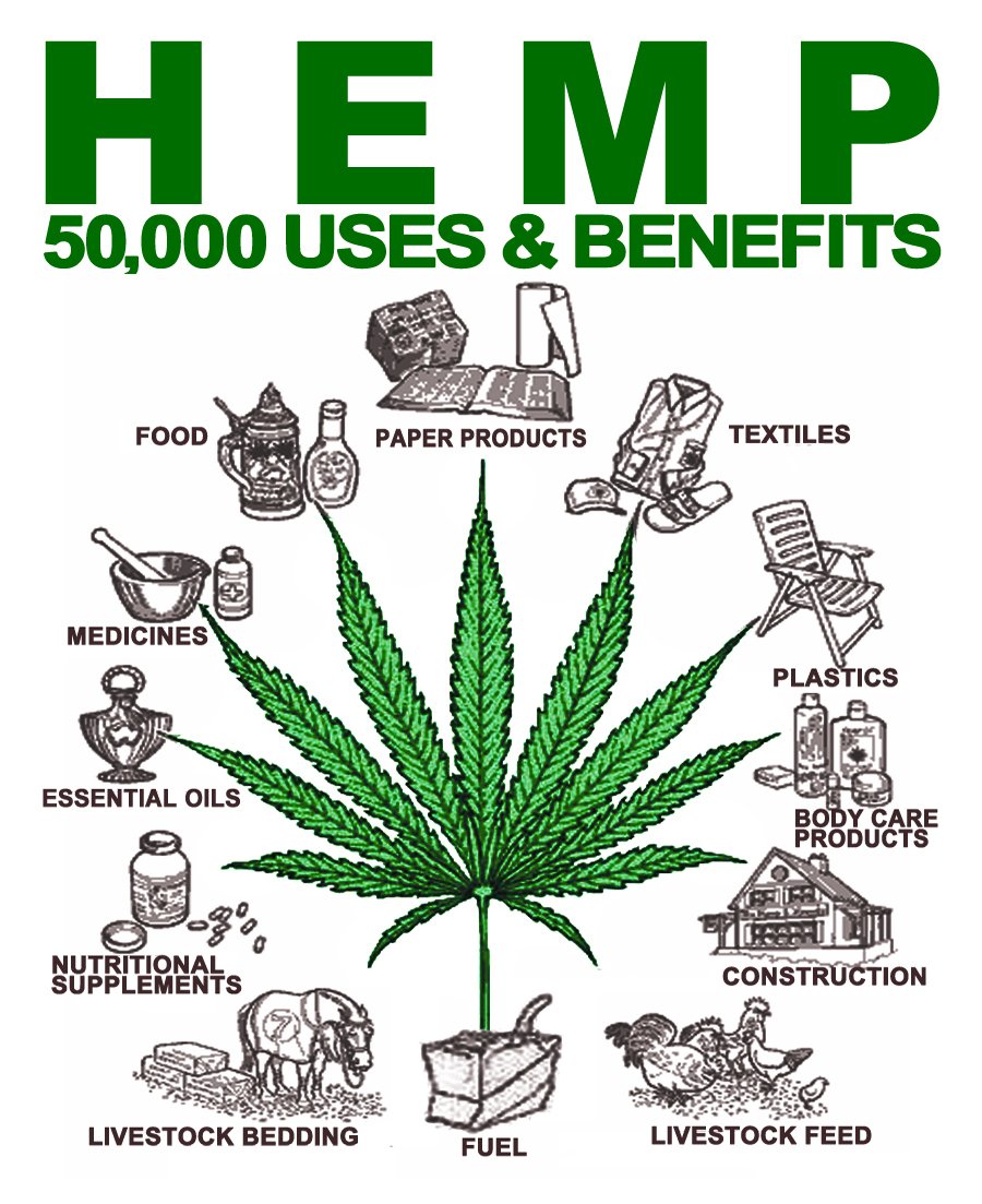 Need we say more about Hemps benefial attributes?
#hemp #hempindustry #endprohibition
