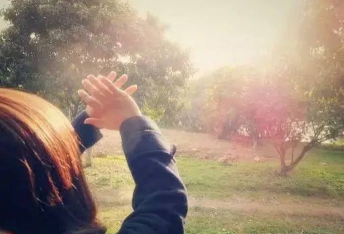 生命沿途的每一处风景，都有着它形成的故事，你去观赏的过程，就是聆听自然讲故事的过程。