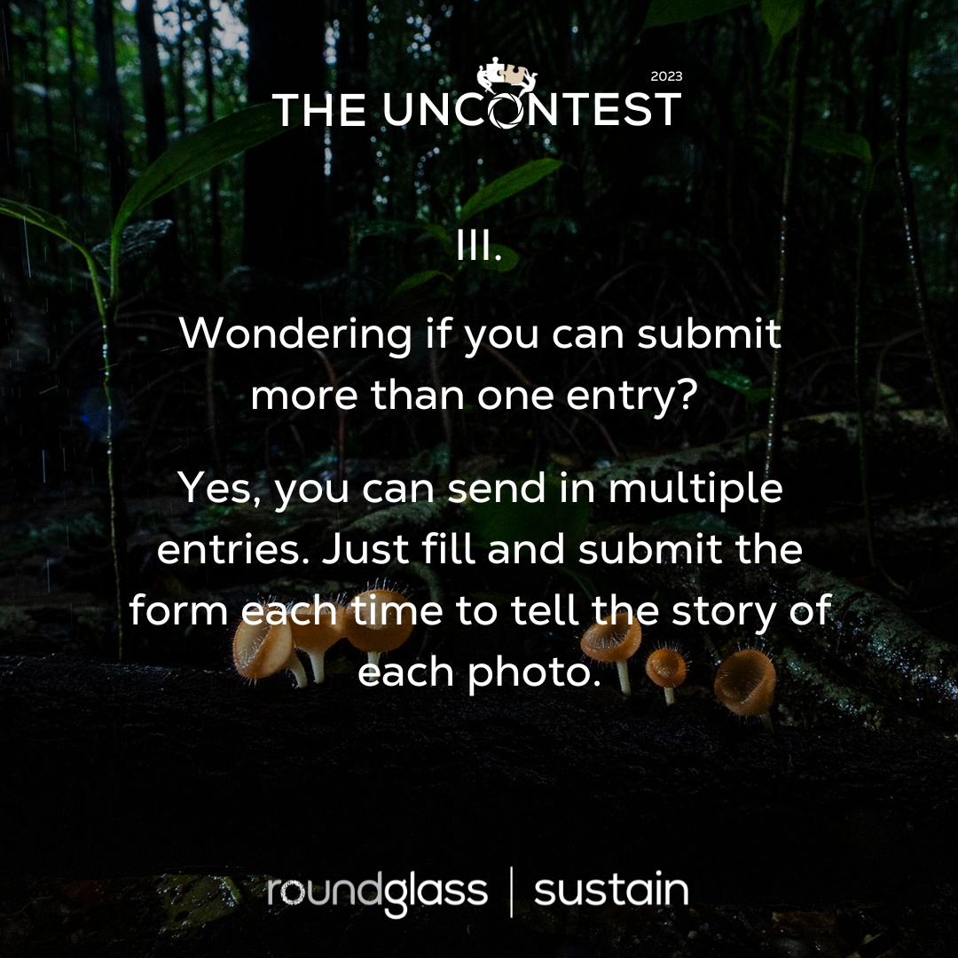 ANNOUNCEMENT #TheUncontest 2023
Here are some updates and answers to a few frequently asked questions!

Have you sent in your #microhabitat entries yet? 
PARTICIPATE NOW: l8r.it/jSrv

Tag someone who might find this interesting!
Photo by <a href="/dhritimanimages/">Dhritiman Mukherjee</a>