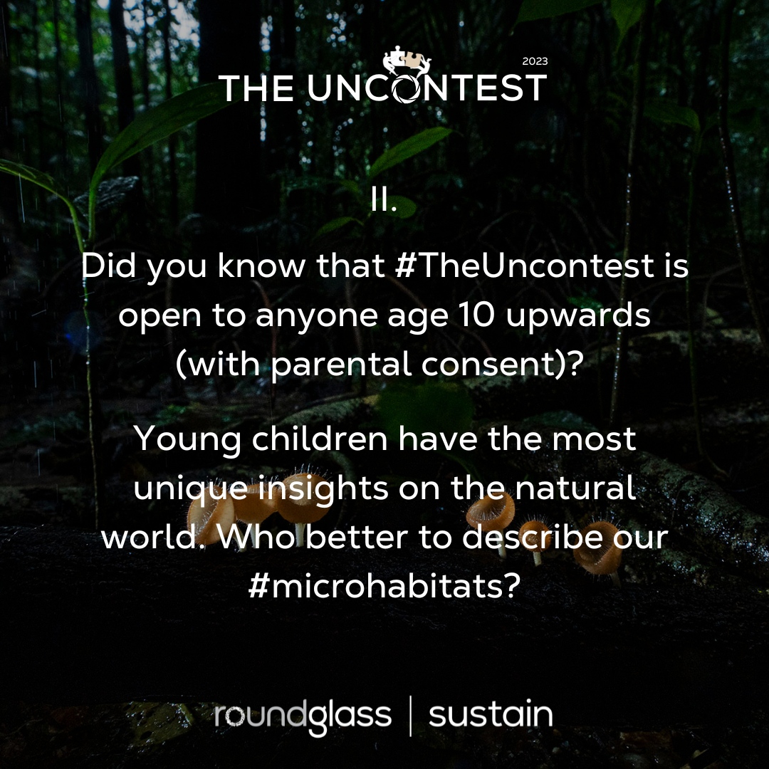 RGSustain1's tweet photo. ANNOUNCEMENT #TheUncontest 2023
Here are some updates and answers to a few frequently asked questions!

Have you sent in your #microhabitat entries yet? 
PARTICIPATE NOW: https://t.co/q6LQttMmHF

Tag someone who might find this interesting!
Photo by @dhritimanimages https://t.co/1XSCgEN7gn