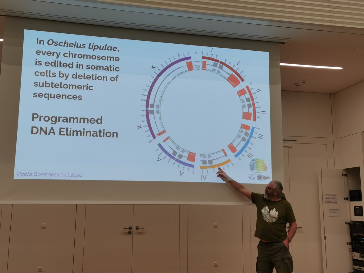 Highly interesting talk of Mark Blaxter at the @LOEWE_TBG Retreat about the @SangerToL project! 🧬🦋🐚🌳 Incredible work!