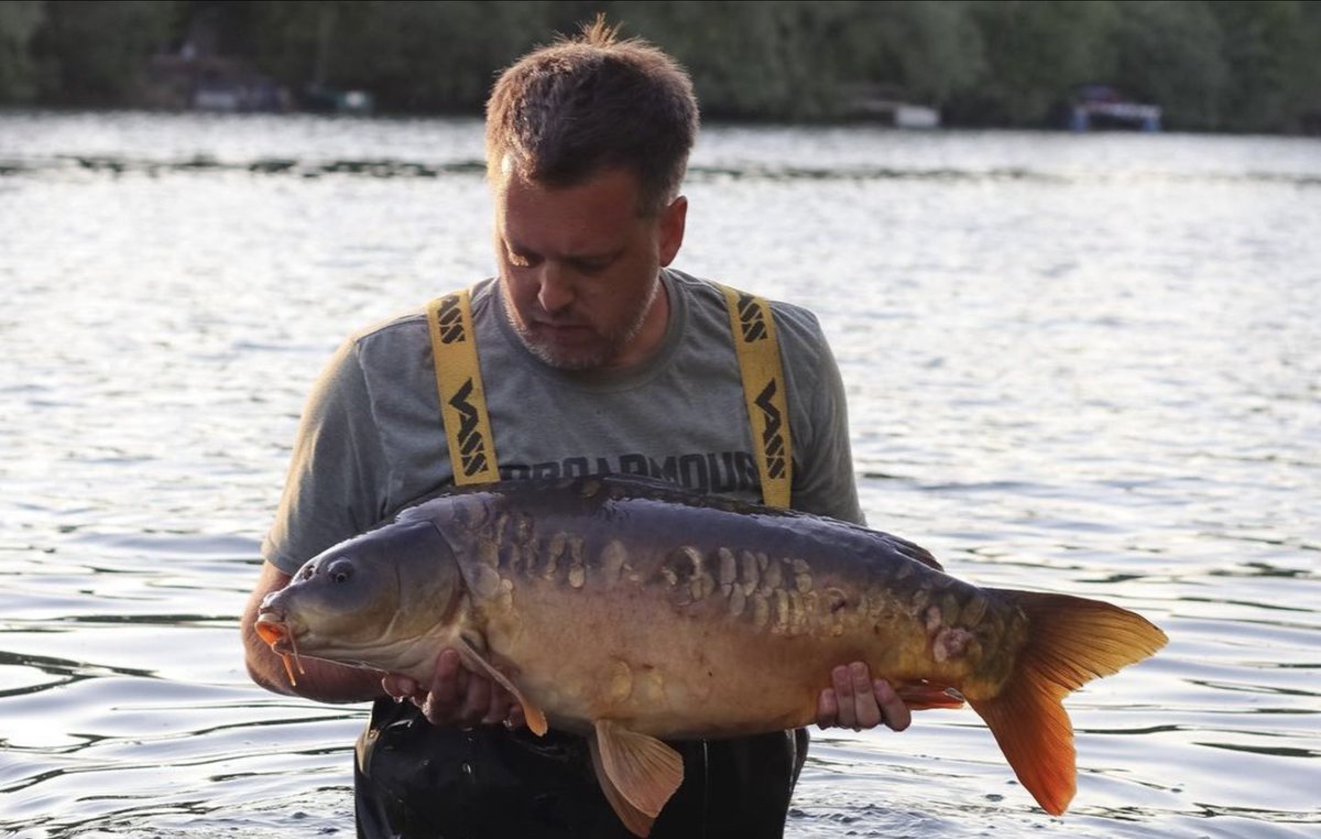 🎣 Pretty little mirror for @snagged_in_the_tree, hooked with the help of Hobo Armour's Size 4 Offset Hooks, Armoured Chod link crimped on a helicopter setup.

#GetArmoured 💀 #Outdoors #Lake #Fish #Carp #Fishing #CarpFishing #FishingLife #Karpfen #CarpFishingUK