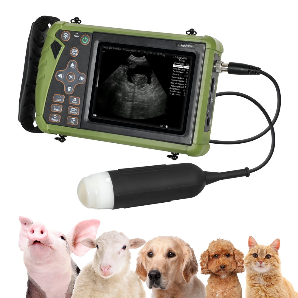 Wellue1's tweet photo. 💥New Arrival! More Affordable Veterinary Ultrasound Scanner!
🧐Quick and reliable pregnancy diagnosis
Special for medium-sized animals🐶🐱🐷
👉Check it out https://t.co/720z98lBDV
#pregnancydog #VET #pet #POCUS https://t.co/PkaI9JRjpm
