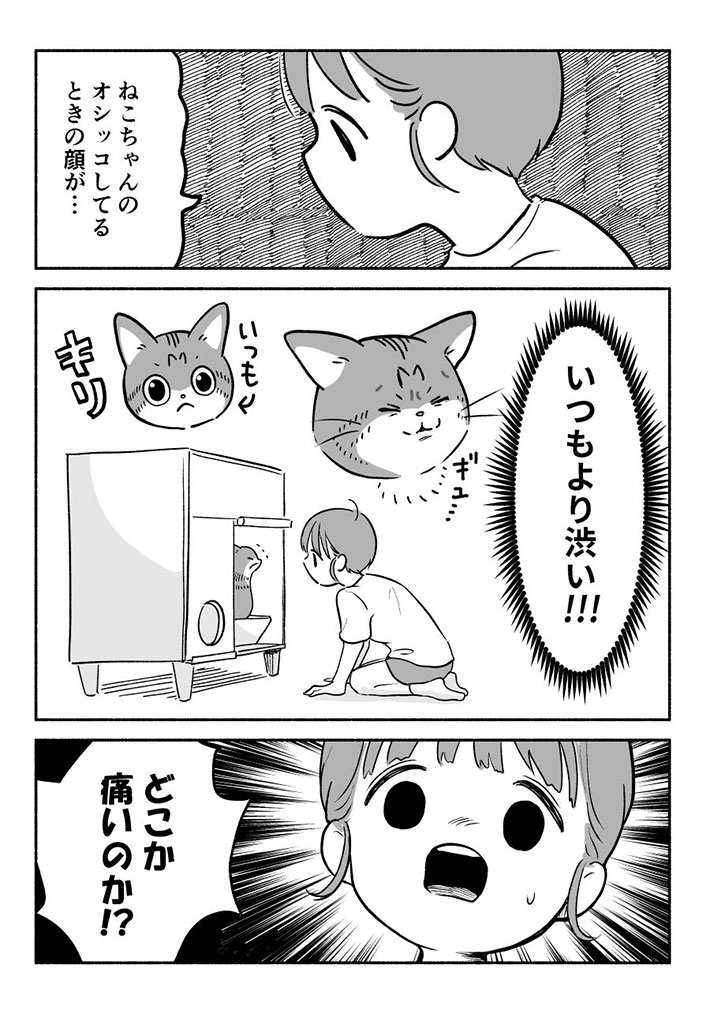 トイレ中の猫がおかしい 動物病院へ駆け込むと、獣医師が「あっ!」  @grapeejpより
