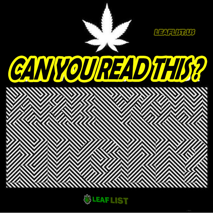 BudVizion tweet media