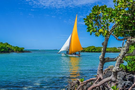 Thursday pure Vitamin SEA in Mauritius 
#Thursday