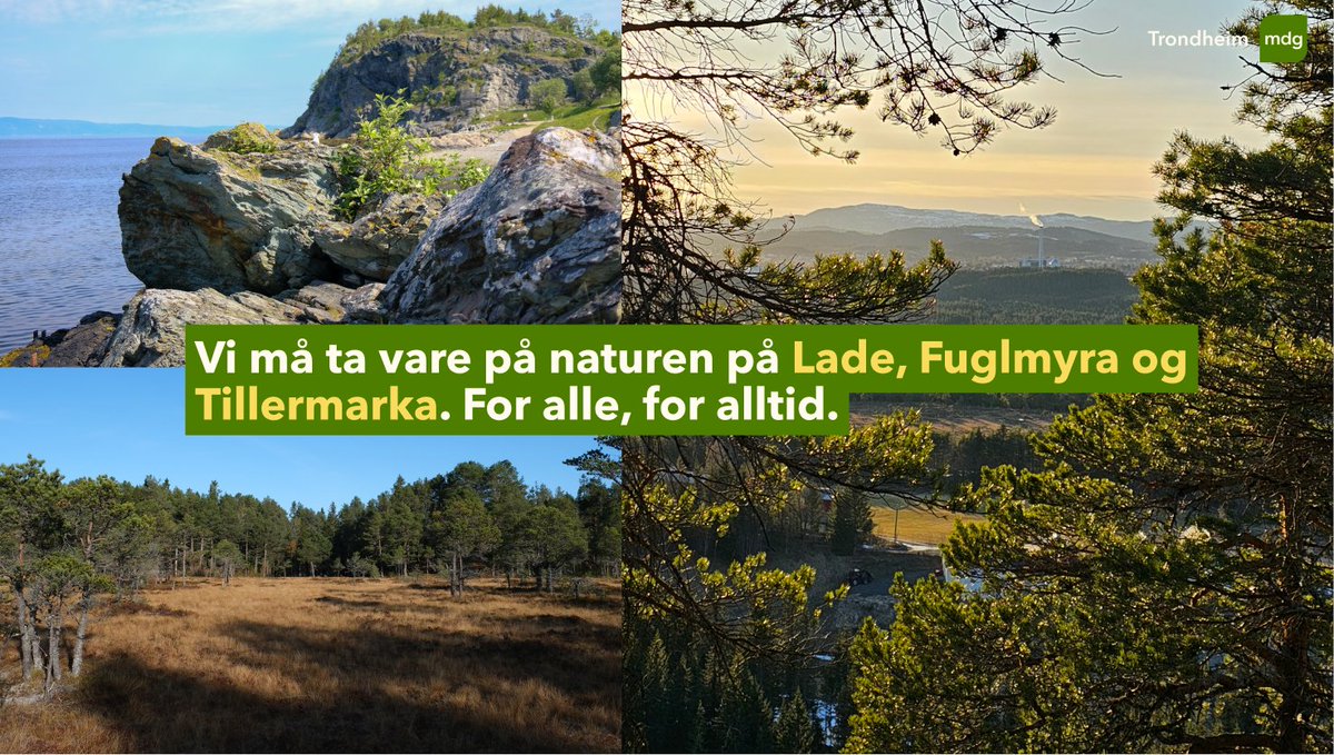 Jonas Ali Ghanizadeh (@jonasali) on Twitter photo Håper så mange som mulig vil signere oppropet for å bevare nærnaturen vår i Trondheim!
Vi har ikke noe natur å miste💚
<a href="/TrondheimMDG/">Trondheim MDG</a> <a href="/sensasjon/">Line Fjørstad</a>
mdg.no/reddtrondheims… Håper så mange som mulig vil signere oppropet for å bevare nærnaturen vår i Trondheim!
Vi har ikke noe natur å miste💚
<a href="/TrondheimMDG/">Trondheim MDG</a> <a href="/sensasjon/">Line Fjørstad</a>
mdg.no/reddtrondheims…