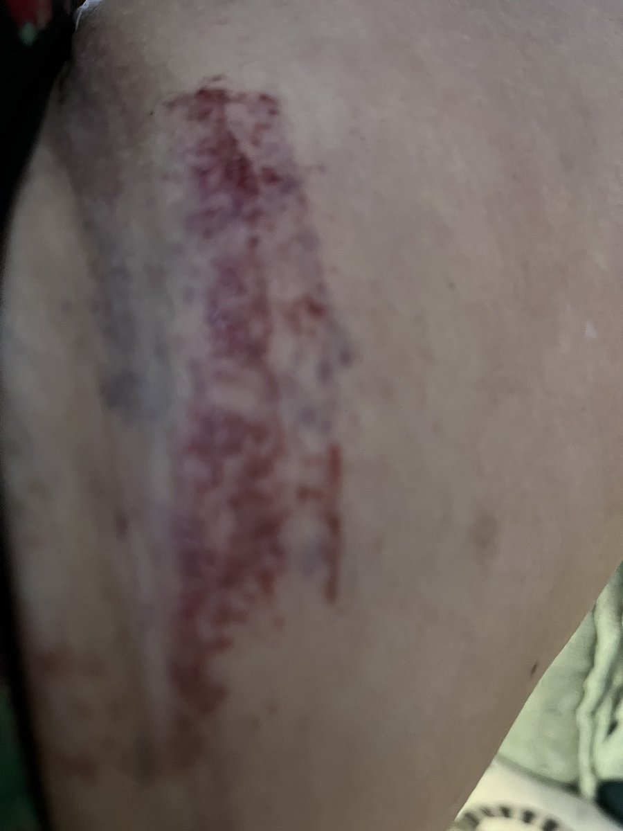 Elaine buckley tweet media