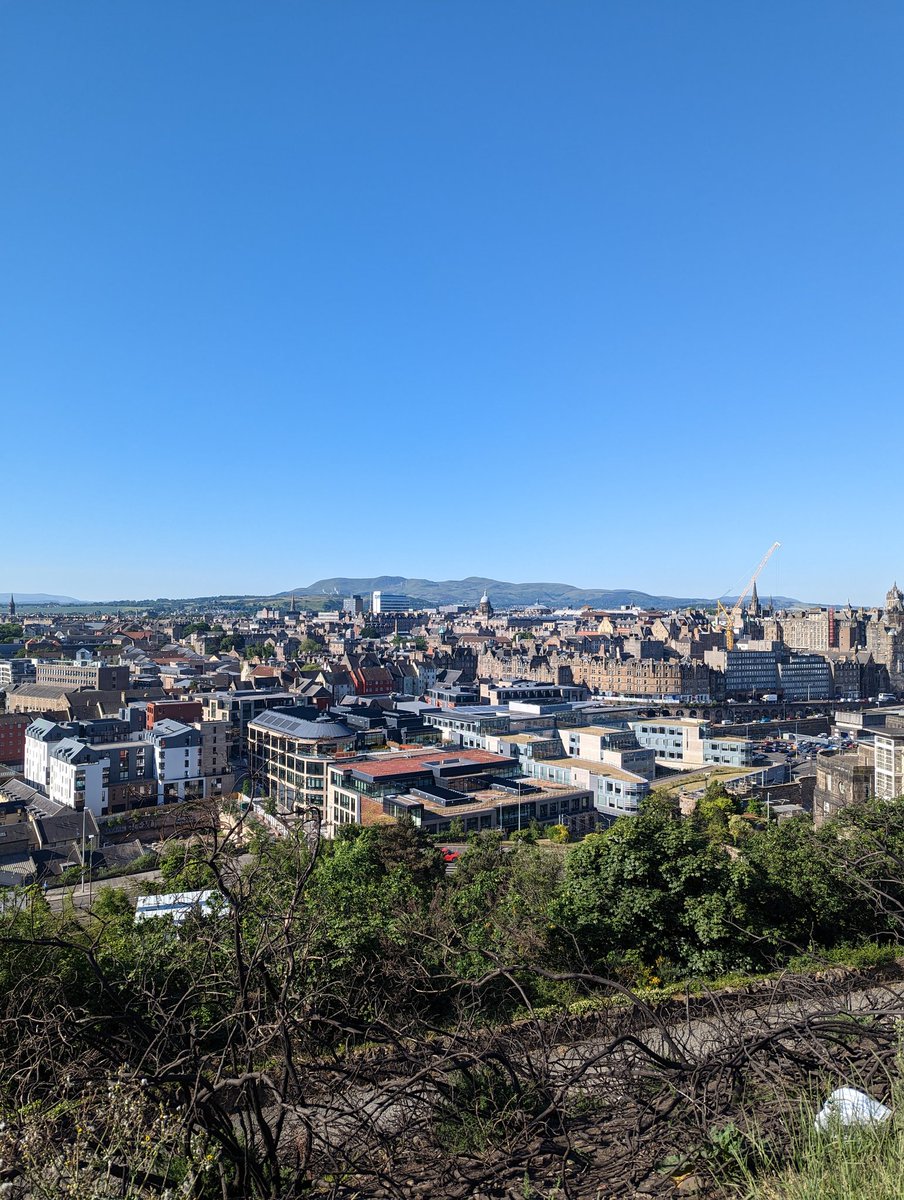 Alex Scott tweet media