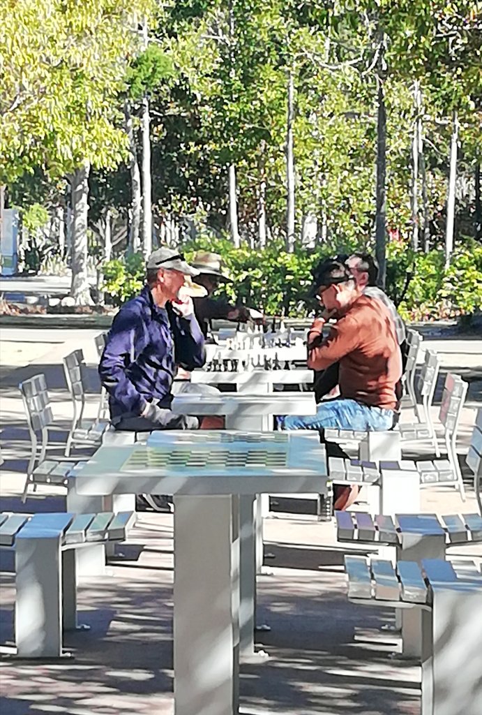 Vics_Echidna's tweet photo. Outdoor #Chess ♟️at #RobelleDomain set up and ready to go! Organised by the Springfield Ipswich Chess Club, this amAzing community resource is free to use 😃 Just bring your pieces for a game under the trees 🌳 @springfieldQLD #ThinkMore 🤔 https://t.co/VKxjyE44eX