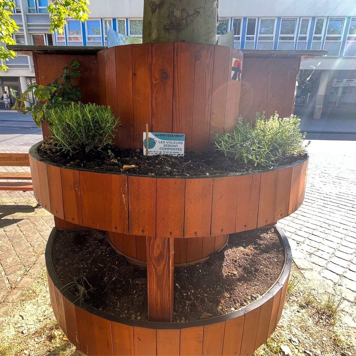 On m’a replanté des aromates ! 😊
Romarin, estragon et thym ont rejoint le céleri sur mon étagère du haut🪴🌿
Je suis tout de suite beaucoup plus jolie, vous ne trouvez pas ? 😚
N’hésitez pas à venir profiter de ces délicieuses senteurs ! 🌾🌱☀️
#Arras #boîteàlivres