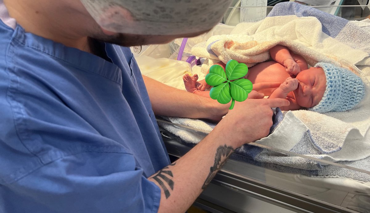 pigeonhat tweet media