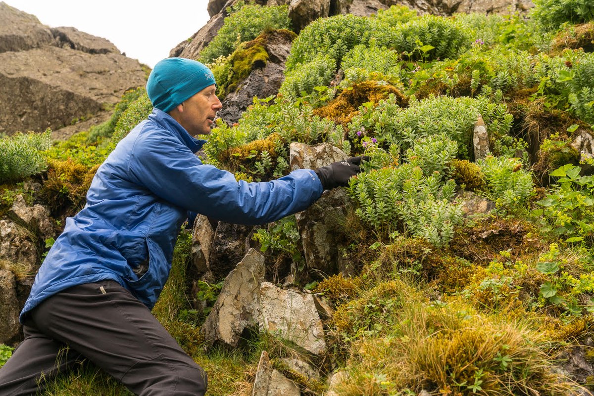 Heading to the wild places we care for this summer?🌞

Keep your eyes peeled for some of these natural delights shared by #Glenridding Common Manager Pete Barron👇

From moths to eagles, purple saxifrage & more - what will you find on your adventures?

bit.ly/3C5z2zo