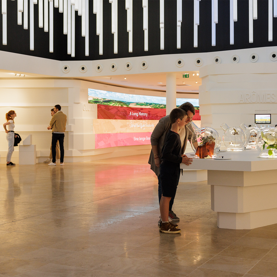 VinsdeBourgogne's tweet photo. La Cité des Climats et vins de Bourgogne ouvre ses portes à Beaune ! 2 jours pour les professionnel suivis du grand week-end inaugural pour le grand public, ces samedi et dimanche, à Chablis, Mâcon et Beaune !
Programme 👉 https://t.co/iVKdAAT61l
@citeclimatsvins
#VinsBourgogne https://t.co/uMTCXwDw3o