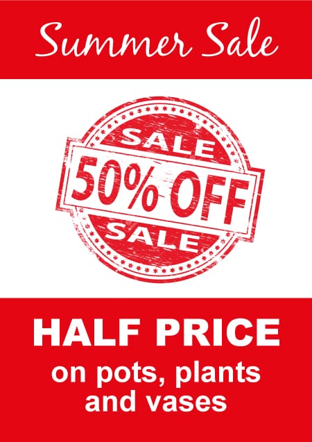 Happening at our #flowershop in Ship Street #EastGrinstead #Sale  50% off #plants #pots #vases