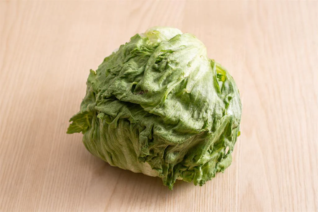 今年はレタスが豊作のため出荷価格が急落中！ いっぱい食べると農家さんも喜ぶ