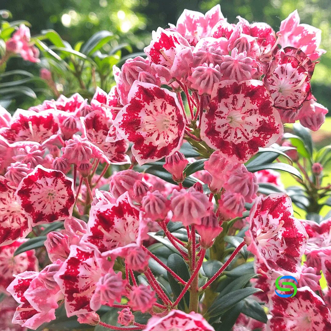 💠La comunicazione efficace è fondamentale per educare, informare e coinvolgere le persone nelle questioni relative alle energie rinnovabili.
Ecco alcuni libri per esplorare il mondo delle parole dell’italiano e delle #energierinnovabili ➨ buff.ly/3qqXCZf