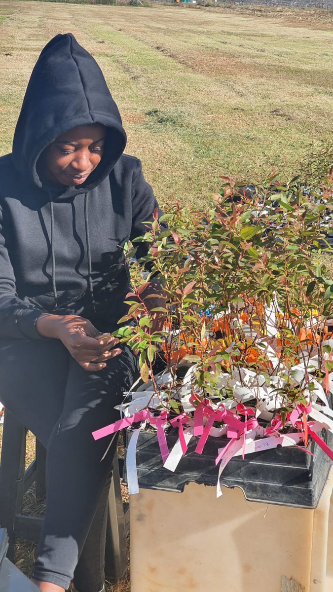 EPPI_TEAM's tweet photo. A busy week of Eucalyptus planting for the EPPI team! A big thank you to all of our team members, as well as the helpful hands from the @Fabiteam1 🌲 Here's to many more tree planting to come! https://t.co/f3NTQr5nZQ