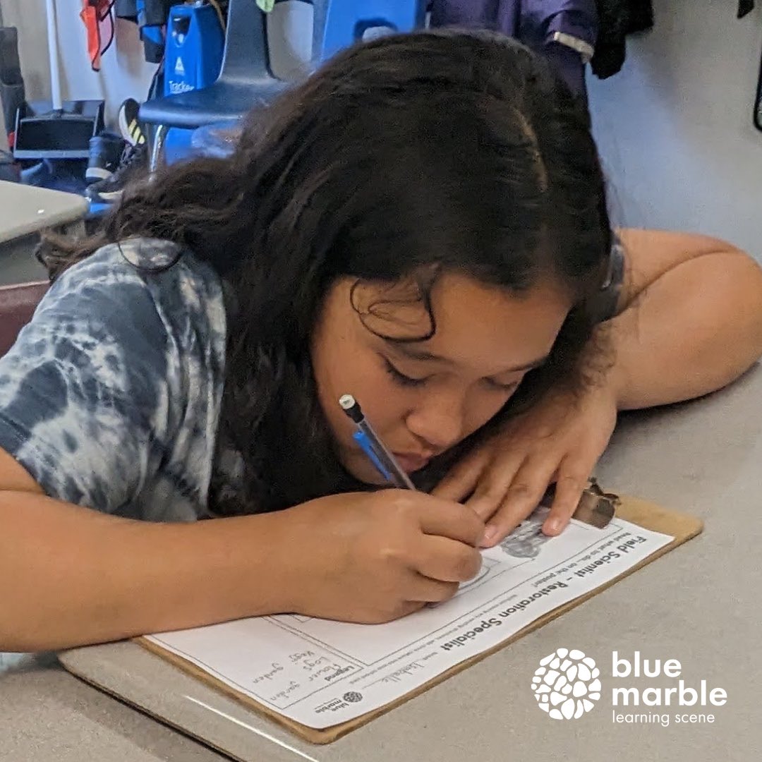 We introduced a grade 5 class at PS to field work in #hydrology and #restoration science.

Learners spent time examining water quality of 12 ‘river water’ samples and designing a restoration plan for their school yard. 

<a href="/HarrowPS_LDSB/">Harrowsmith PS</a>