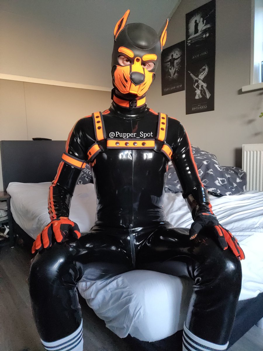 PupSpot tweet media