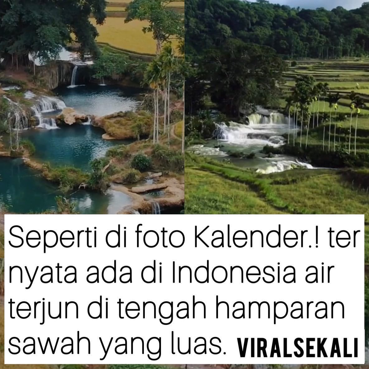 Ga kebayang sejuknya kaya mana 😭 pasti banyak angin spoi spoiiii.

Air Terjun Weekacura berada di Desa Tema Tana, Kecamatan Wewewa Timur, Kabupaten Sumba Barat Daya.
.
.
Sc: [ visit ]