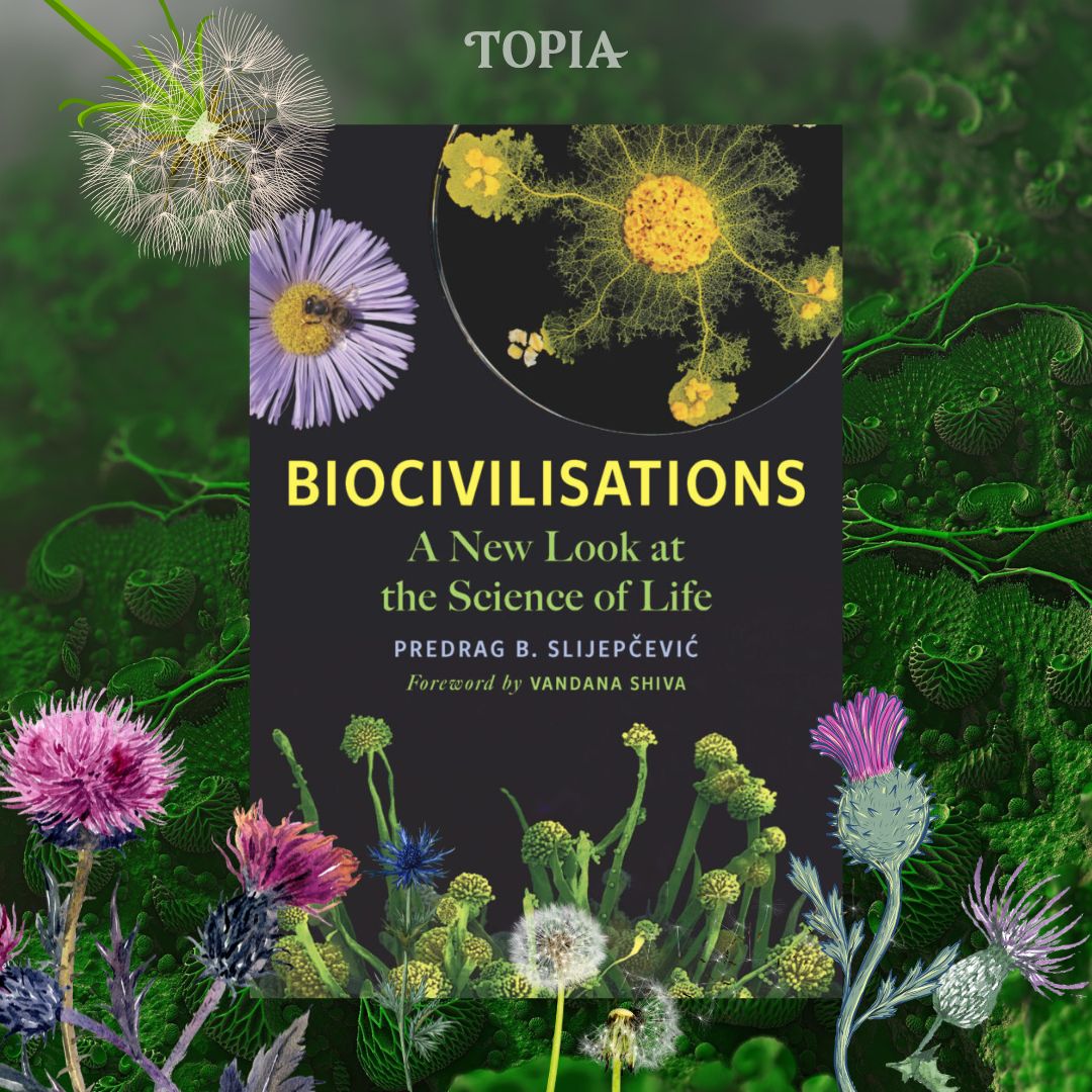 Did you know that microbes have their own version of the Internet? 🌐 They are the genuine founders of technologies and the invisible rulers of the biosphere.

So it’s about time we got over ourselves.

New book extract! ► worldoftopia.com/biocivilisatio…