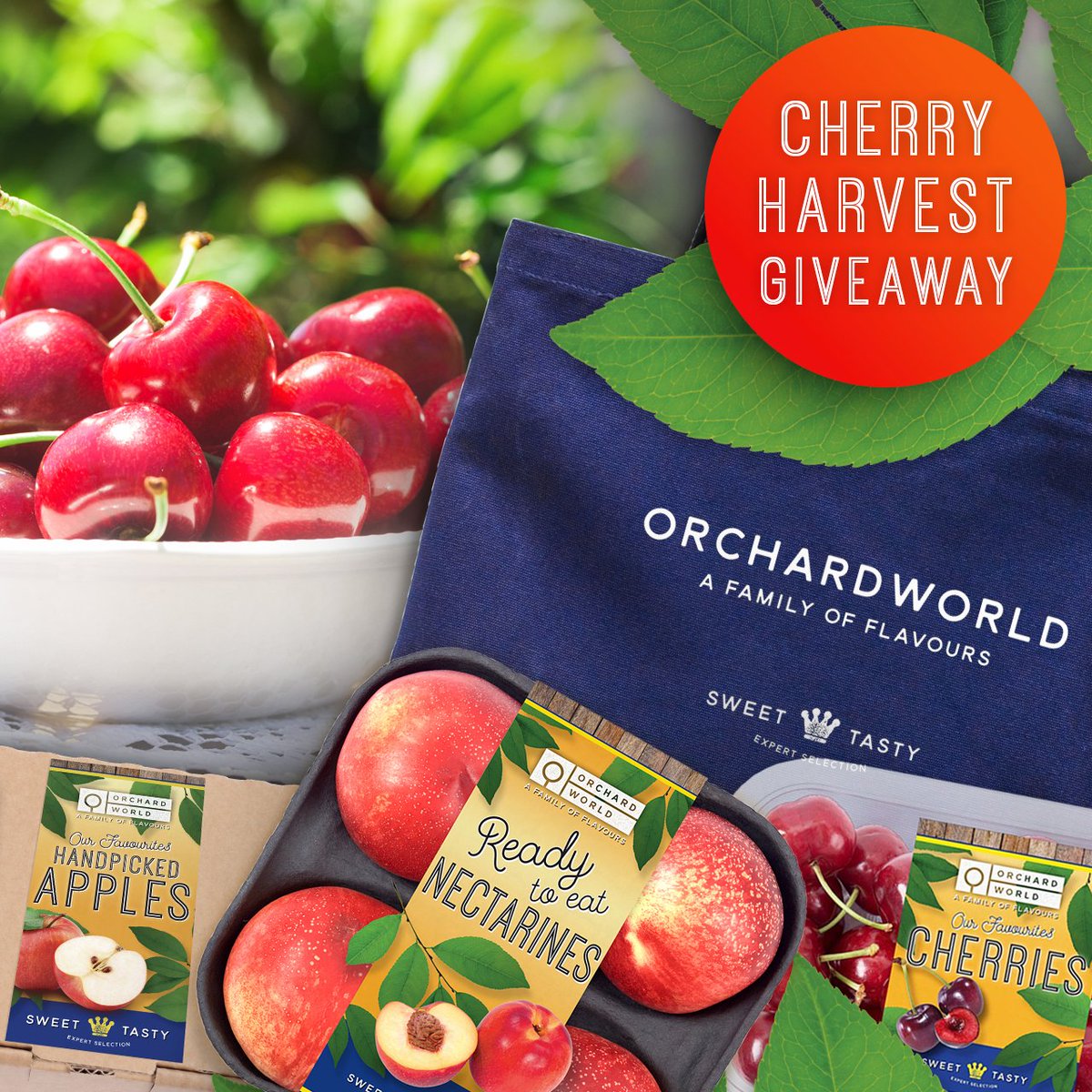 The deadline for this competition is Midnight on 11th July 2023. The winners will be selected from an online automatic computer generator and then informed on Wednesday 12th July. What are you waiting for? Simply like, follow and tag 4 friends in the comments section to be in