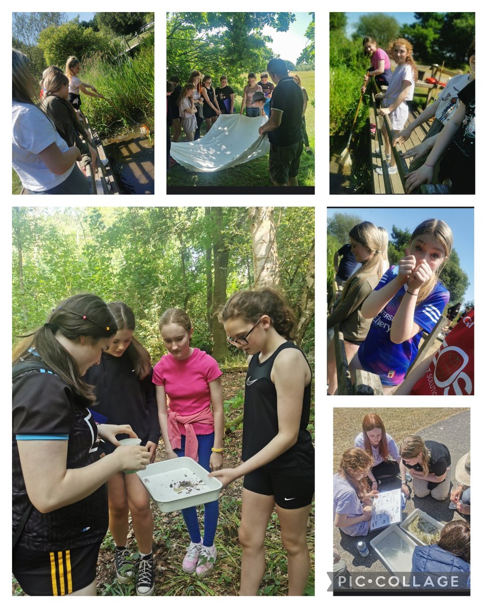 AGSGeog's tweet photo. Year 8 enjoyed the fantastic weather at Oxford Island this week, learning about the ecosystems found around Lough Neagh. They were wonderful as always! @assumptionlive @AGSGeog https://t.co/ng6X4N2cgX