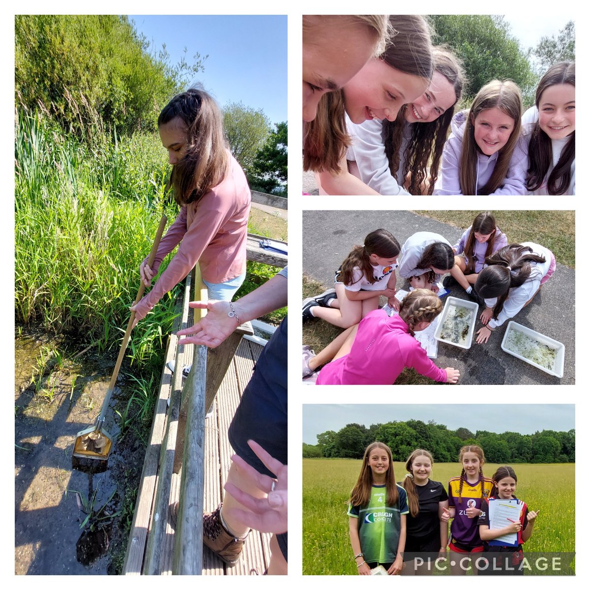 AGSGeog's tweet photo. Year 8 enjoyed the fantastic weather at Oxford Island this week, learning about the ecosystems found around Lough Neagh. They were wonderful as always! @assumptionlive @AGSGeog https://t.co/ng6X4N2cgX