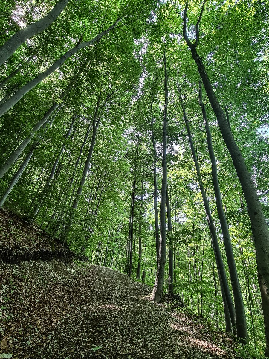 Let's adopt the pace of nature 🌼🌼
Today's #NaturePhotographyDay 

#ThePhotoHour #NatGeoDeutschland #NaturePhotograhpy