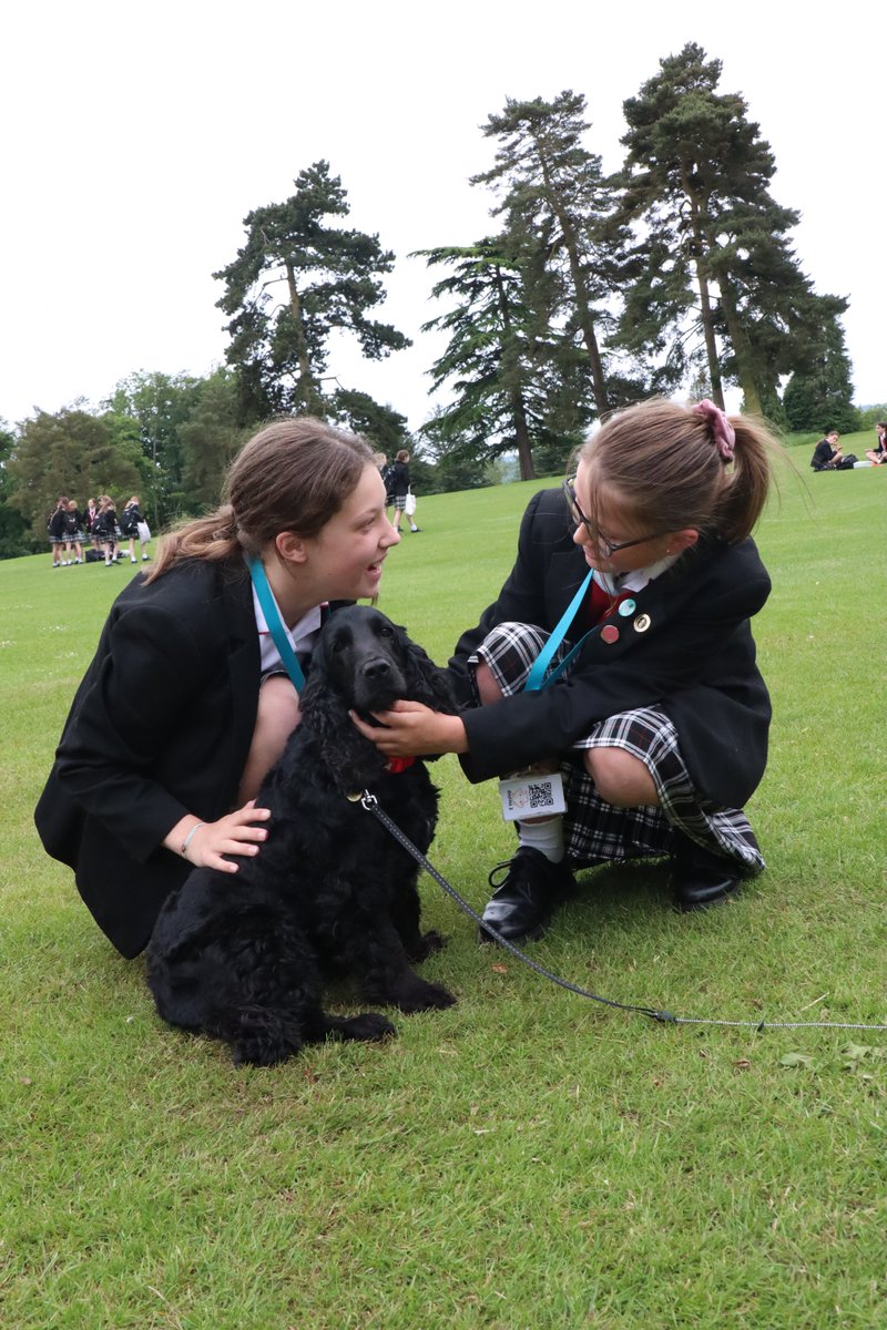 PipersSenior's tweet image. #PipersYear7 enjoying a visit from Tilly - who is clearly not camera shy! It&apos;s so wonderful to see the glorious grounds here being enjoyed to the fullest by the students. #PipersCommunity