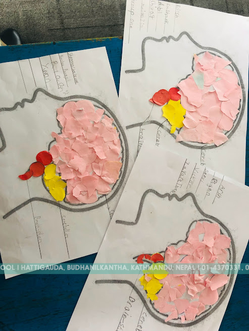 Grade 1 ( Tamor and Arun) students successfully completed ‘Knowledge Harvest’ of Brainwave: Metacognition where they pondered about the brain and came up with magnificent drawings and ideas.
#BrainwaveMetacognitionJourney #ActivitiesatIWS #Imperialworldschool