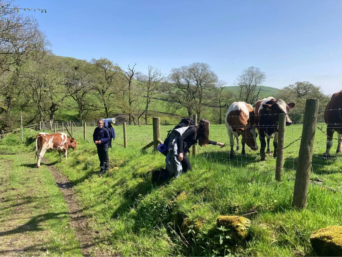 NoLimitsDev's tweet photo. DofE is all about making new friends as well as having adventures!  🐮 
#greatoutdoors #getoutdoors #cows @dofeuk #dukeofedinburghawards #dofebronze #dofesilver #dofegold #youthwithoutlimits #outdoorlearning #livelaughlearn #hiking #adventure #nolimits https://t.co/SskvEWbM7f