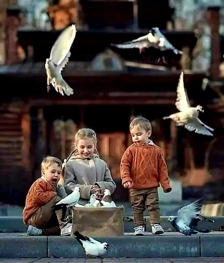 Good morning my friends happy ❤️ Thursday 🙋‍♂️🌻🌺