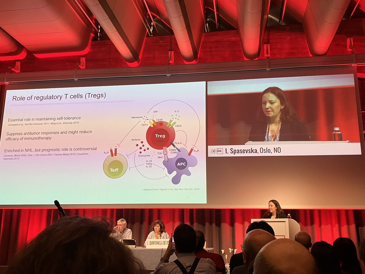 Great talk again on the diversity of intratumoral Tregs in B-cell NHL presented by Ivana Spasevska from Oslo