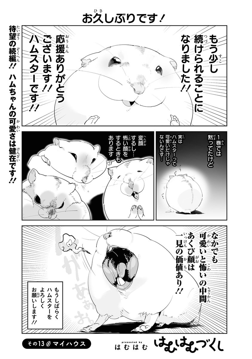 【ジーンピクシブ本日更新!!】
はむはむづくし 第13話①
https://t.co/LGcjBkNfwy
ついに! お待ちかねの続編が連載スタートナノ~!!
ハムちゃんは変顔だってかわいいナノ❤️
(ピクにゃん)