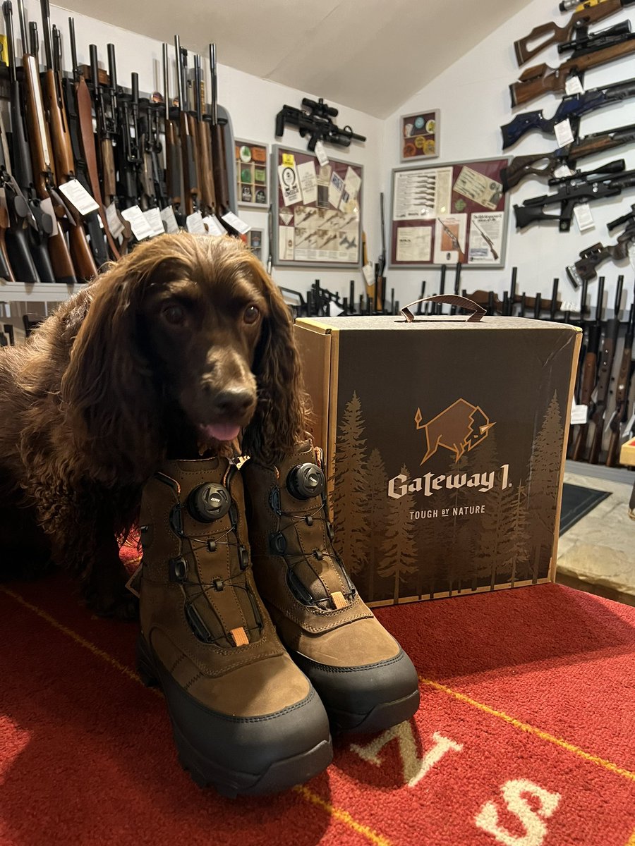 Gateway 1 ‘Estate Beater’ 7” boots have arrived @PerkinGuns 🥾🥾
With ‘speed lacing’ system means effortless on/off! 😎

#perkinguns #gatewayboots #speedlacing #countryboots #walkingboots #CountryWear