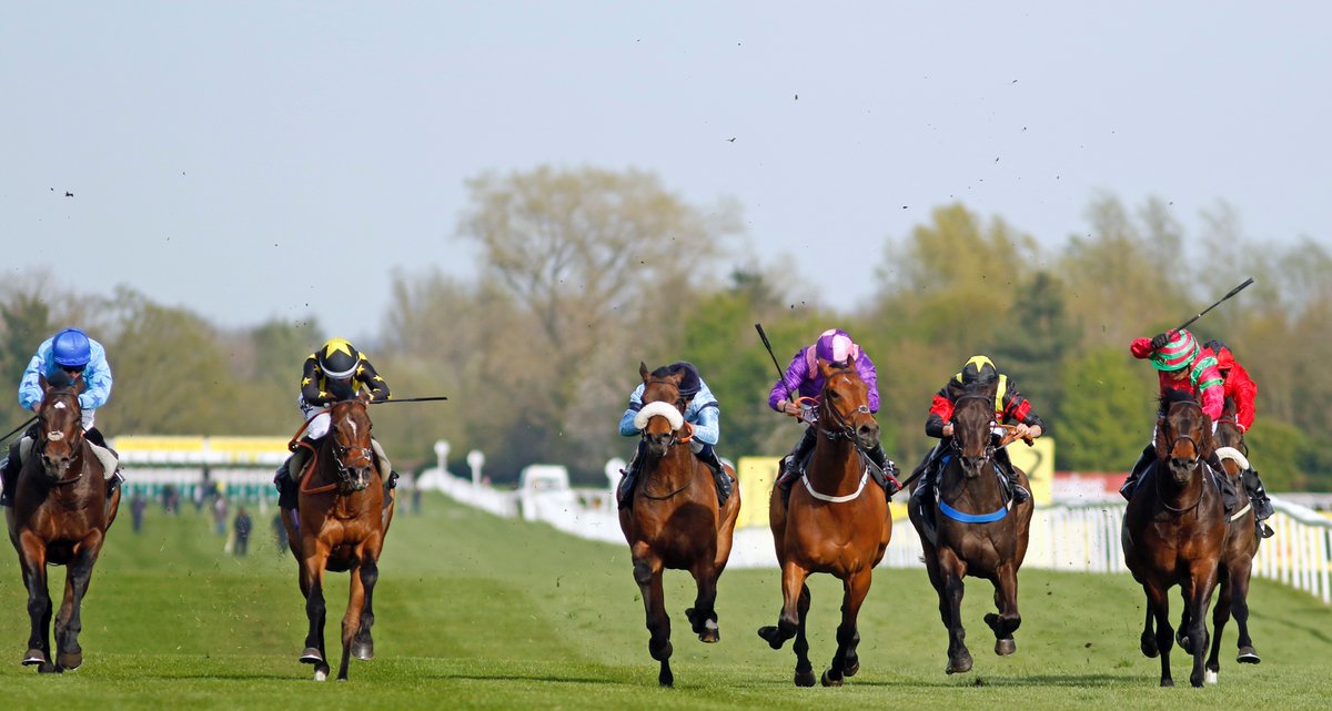Newbury Racecourse tweet media