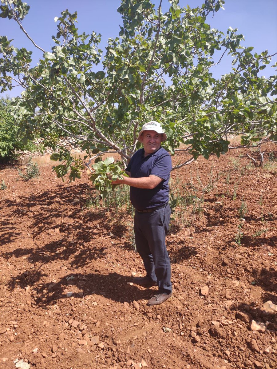 İl Müdürlüğümüz Teknik Personelleri tarafından Artuklu ilçemizde Meyve Bahçelerinde Hastalık ve Zararlı kontrolleri yapıldı.
<a href="/ibrahimyumakli/">İbrahim Yumaklı</a>
<a href="/mahmutdemirttas/">Mahmut Demirtaş</a>
<a href="/TCTarim/">T.C. Tarım ve Orman Bakanlığı</a>
<a href="/MenduhDinler/">Menduh DİNLER</a>