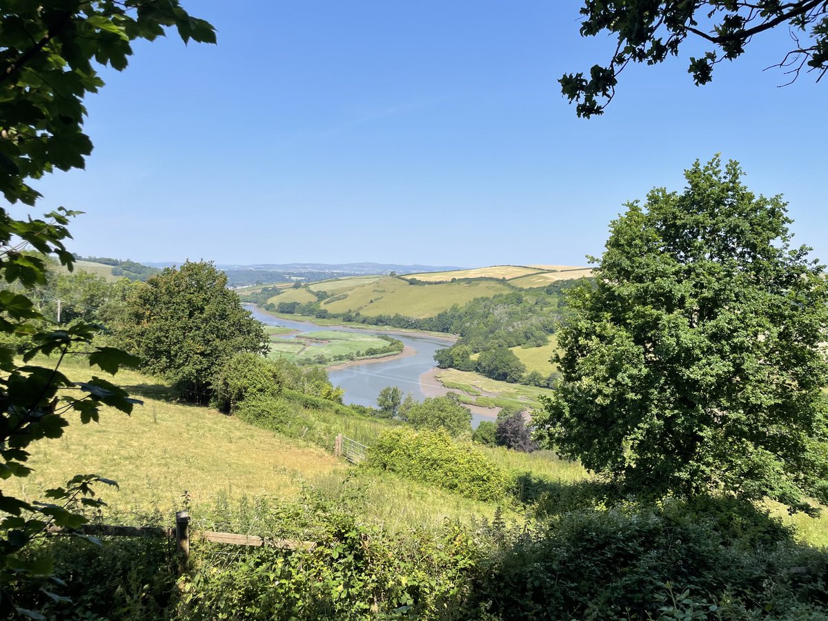 ShaunKiddell's tweet photo. Finally made it to lottery funded Sharpham rewinding project. Sadly, no sign of the pigs. #viewstodiefor #rewilding #helpingnaturethrive #DevonHeaven https://t.co/KyQoAp71d9