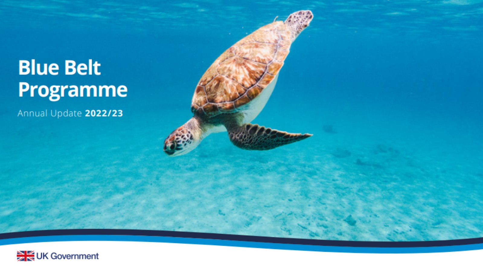 Blue Belt Programme on Twitter: 