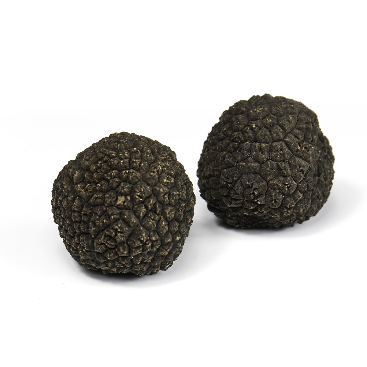 honza_setas's tweet photo. ¡Disfruta con los sabores únicos de la temporada! 

Hemos escogido cuidadosamente los mejores rebozuelos frescos y las trufas de verano de la mejor calidad, para que tengas una experiencia gastronómica inigualable.

https://t.co/b1HToXF2yF

#saboresdeprimavera #calidad #Honza https://t.co/vyzIPnLwPY