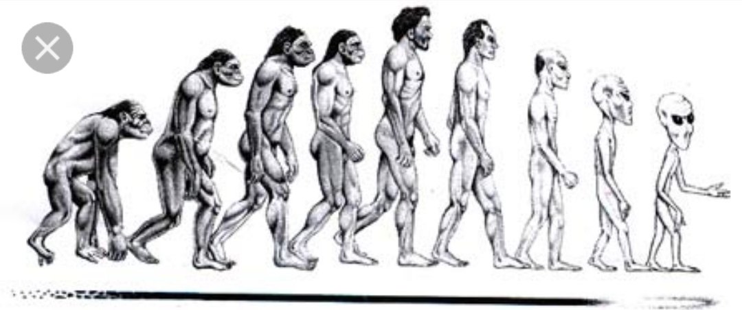 Drjohnsmith619's tweet photo. @elonmusk Aliens are us in the future.👽  are no sex the result of trans bs. The muscles deplete
Because  everything is automated. Brain increases due to increased stimulus to maintain and compete in high tech era= big head small bodies. Eyes can be a part of space suit based on fly vision https://t.co/EB4MuwdDb8