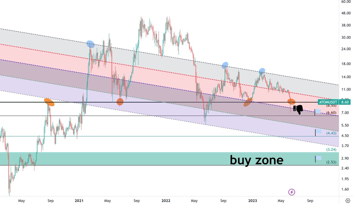Kalamar🦑 tweet media