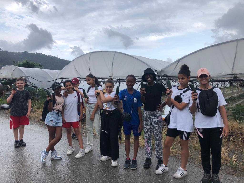 College_Jaubert's tweet photo. Les élèves de la 6ème Education au Développement Durable du @College_Jaubert sont allés découvrir les plantes maraîchères de saison et les méthodes de culture de l'exploitation agricole Clerissi à Gattières ...et ont aussi goûté les fraises. https://t.co/aEpIumsNMN