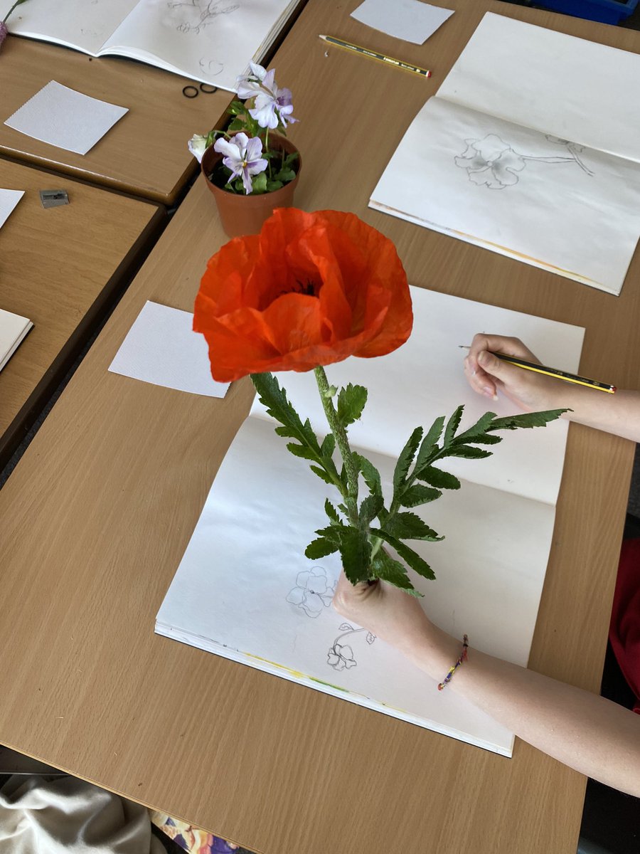 KPSyear5 tweet media