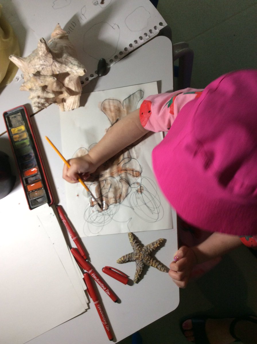 oakwoodEY's tweet photo. S showed amazing concentration while drawing and painting shells #SaveOurSealife #BeYourselfAlways https://t.co/WCeoQsynHO